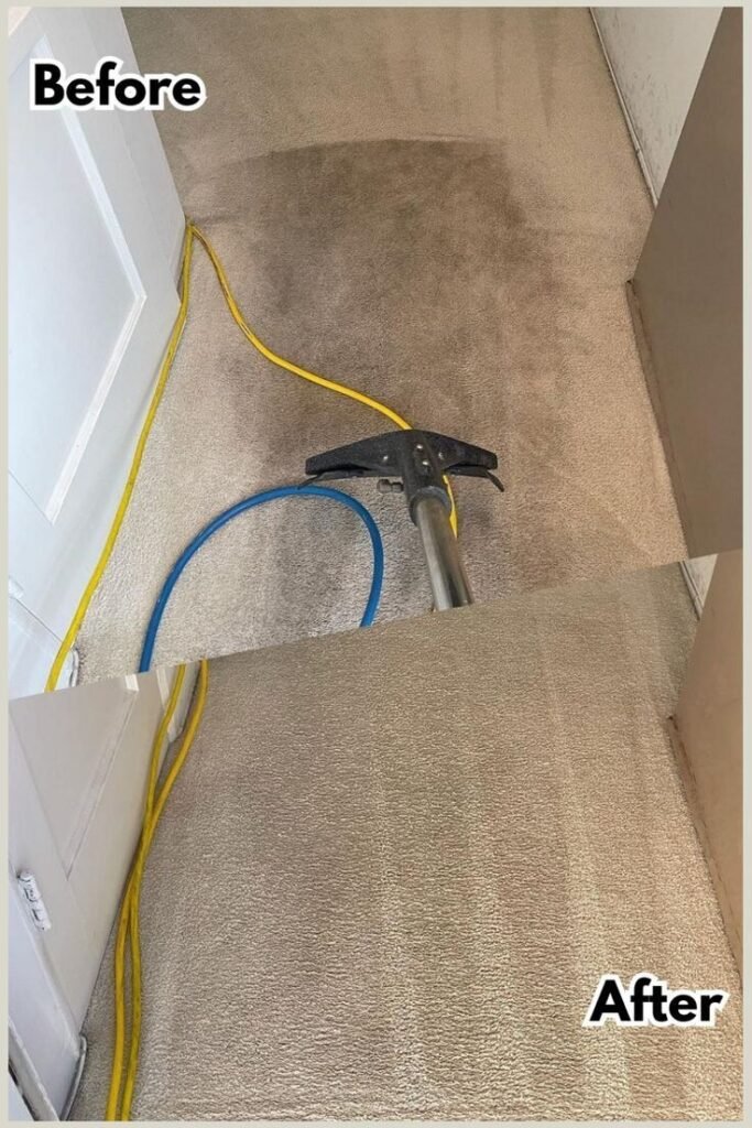 carpet cleaning edinburgh